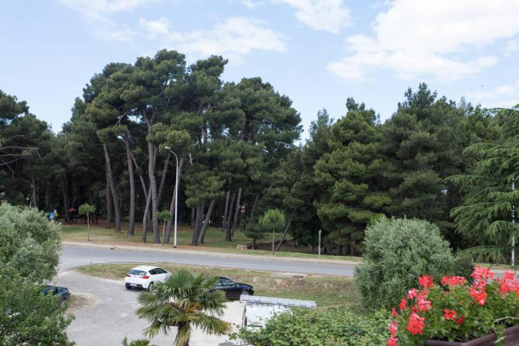 Apartment Apartment Mladen For 4 Rovinj